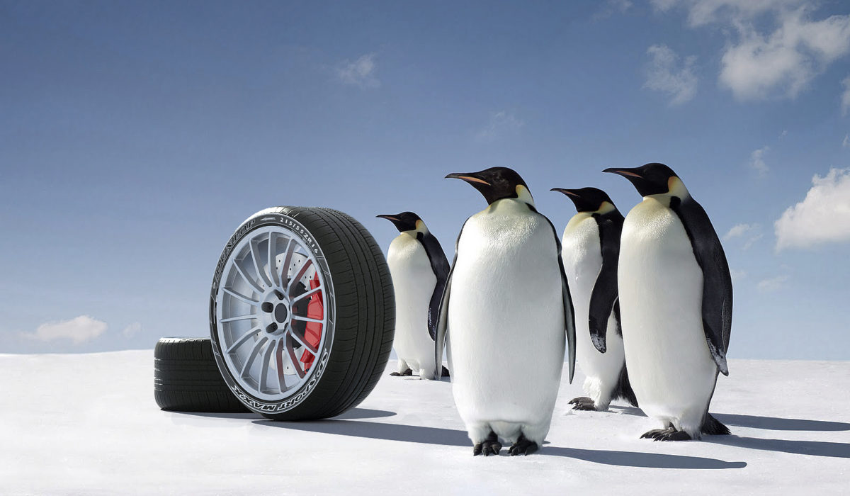 penguin and wheel 2